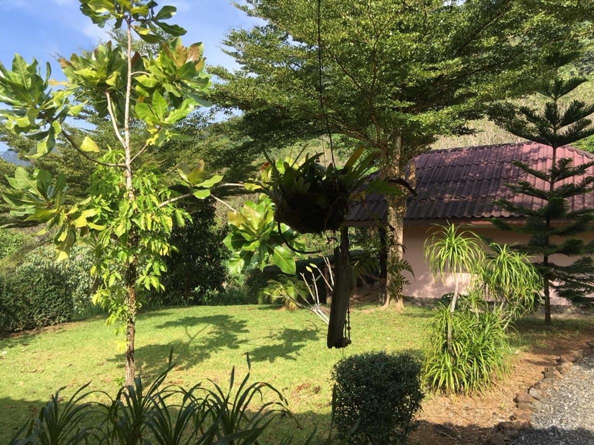 Khao Sok Hill Top Resort Khao Sok National Park Екстер'єр фото