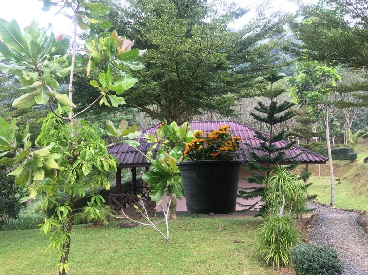 Khao Sok Hill Top Resort Khao Sok National Park Екстер'єр фото